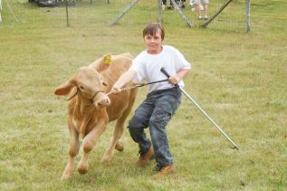 10 year old Dale Manson showing his Charolais calf at the Maberly fair